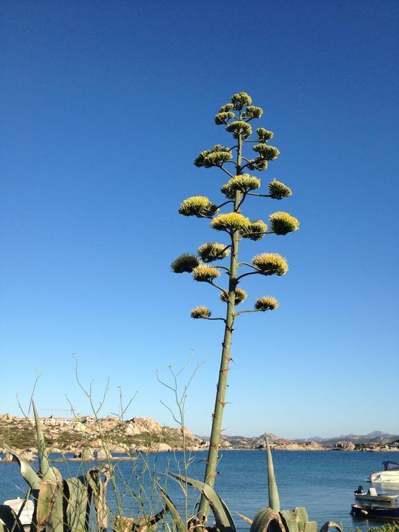 Residenza Via Roma 3 Villa La Maddalena  Luaran gambar